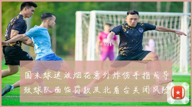 国米球迷放烟花意外炸伤手指或导致球队面临罚款及北看台关闭风险