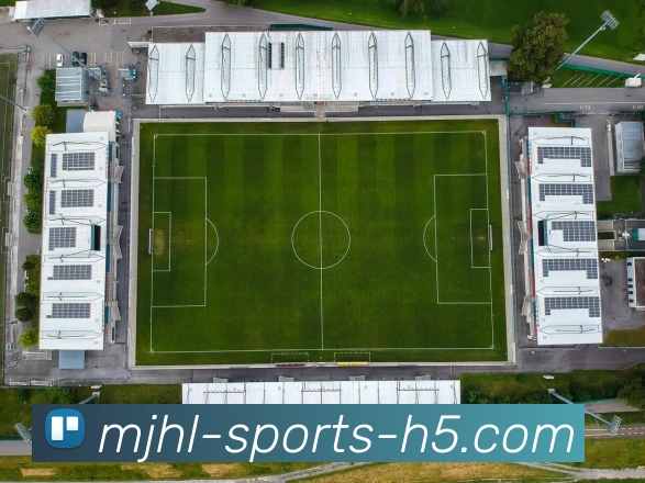 麻将胡了品牌故事